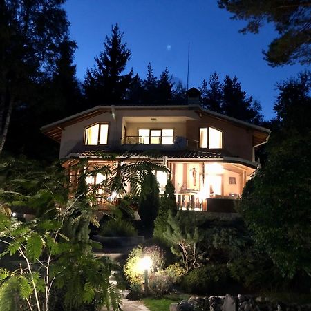 Zheleznitsa Luxury Villa Borina מראה חיצוני תמונה