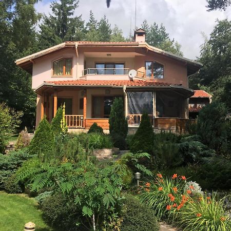Zheleznitsa Luxury Villa Borina מראה חיצוני תמונה