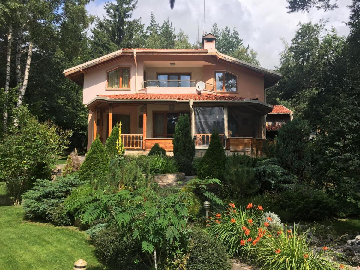 Zheleznitsa Luxury Villa Borina מראה חיצוני תמונה