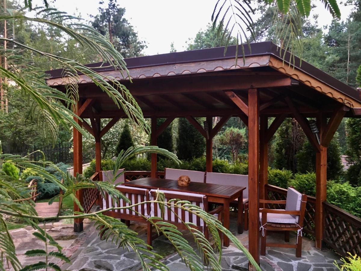 Zheleznitsa Luxury Villa Borina מראה חיצוני תמונה