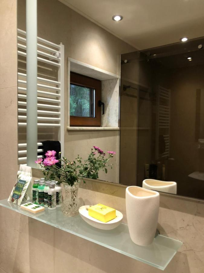 Zheleznitsa Luxury Villa Borina מראה חיצוני תמונה