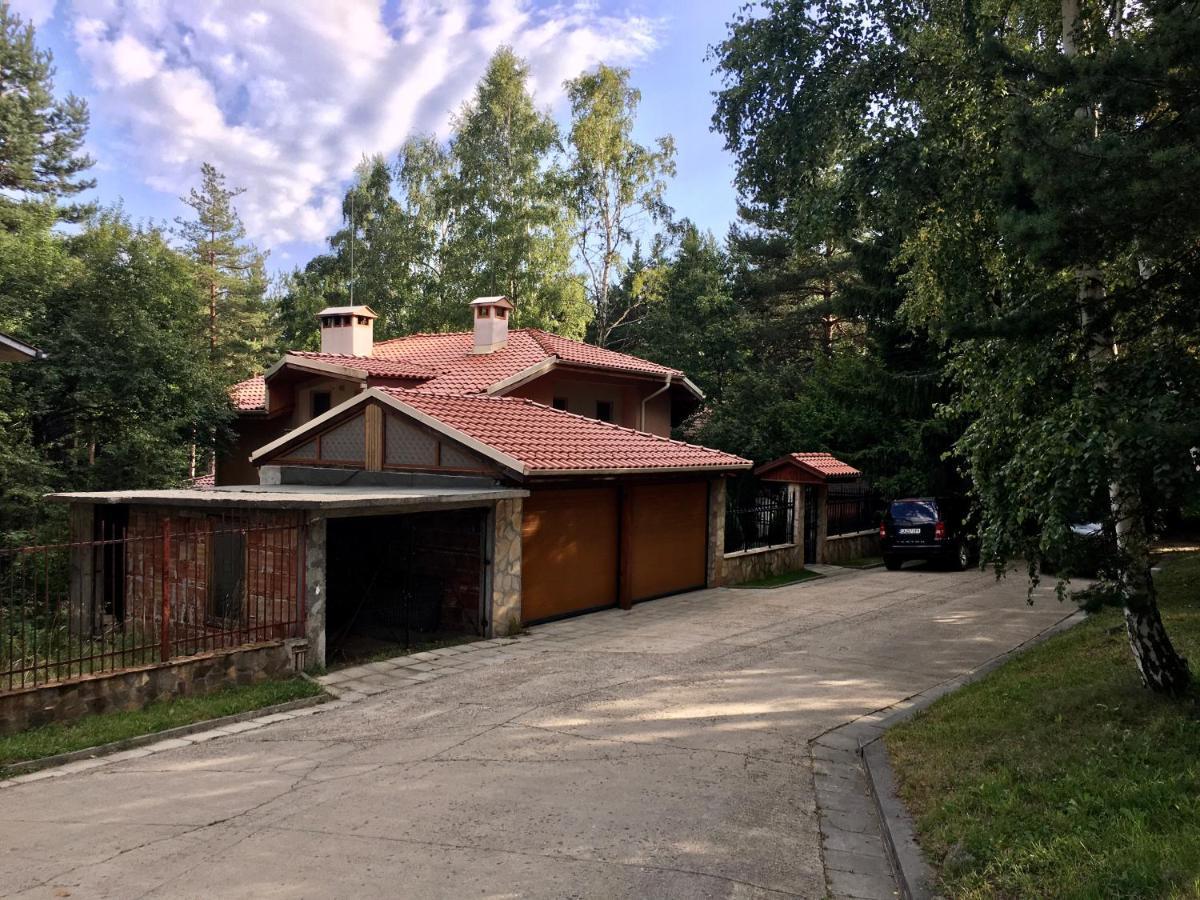 Zheleznitsa Luxury Villa Borina מראה חיצוני תמונה