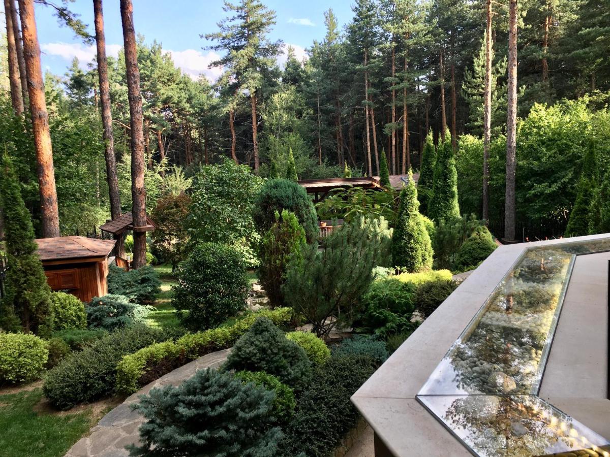 Zheleznitsa Luxury Villa Borina מראה חיצוני תמונה
