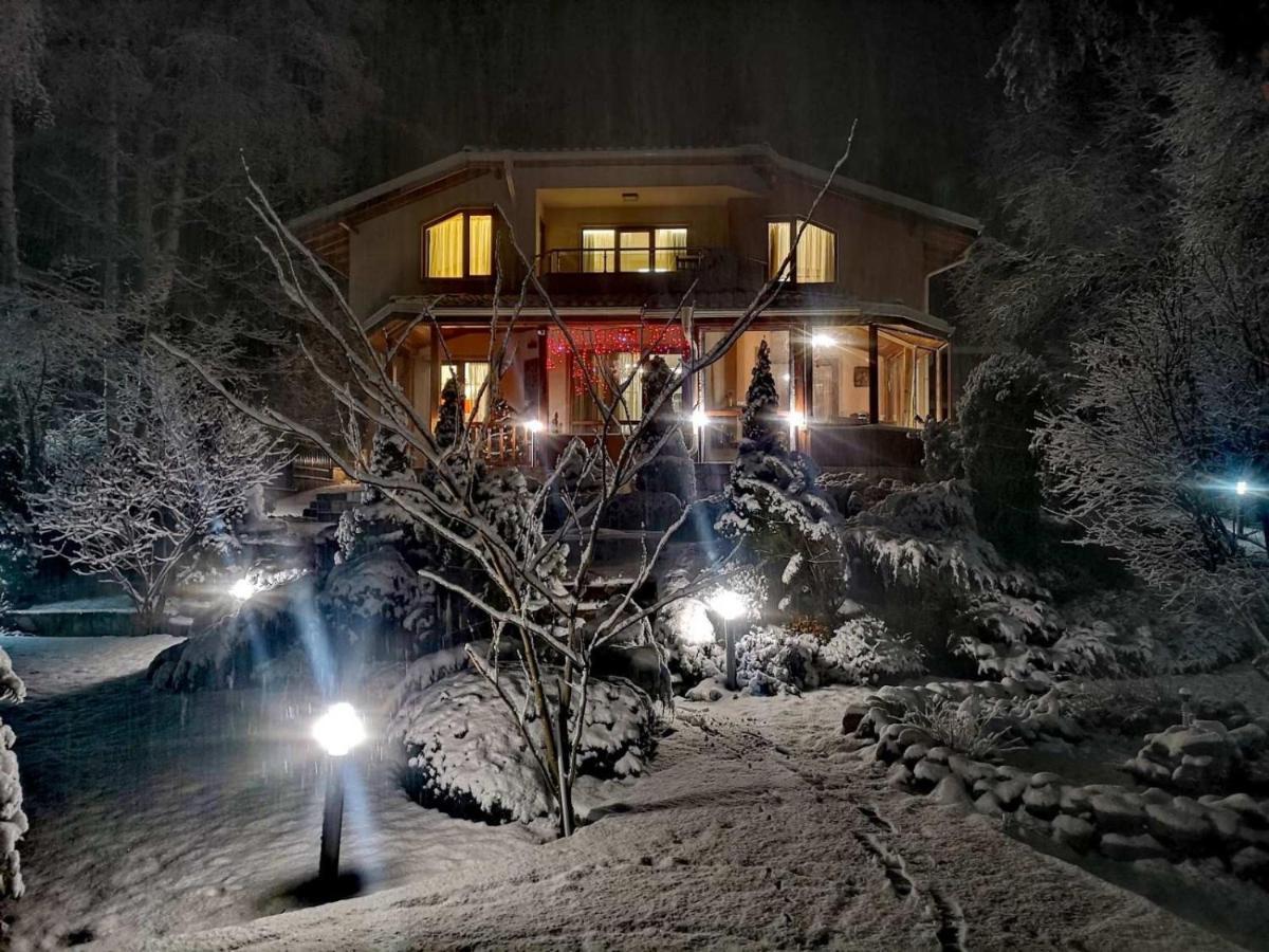 Zheleznitsa Luxury Villa Borina מראה חיצוני תמונה