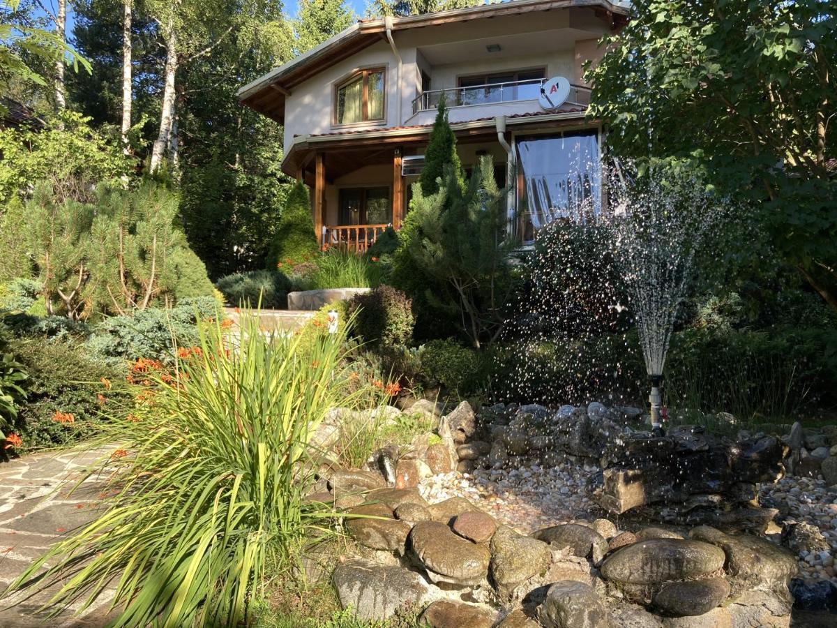 Zheleznitsa Luxury Villa Borina מראה חיצוני תמונה