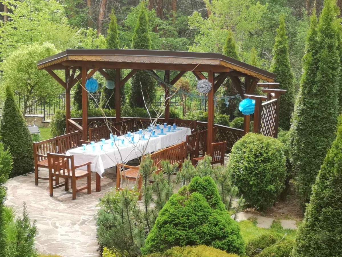 Zheleznitsa Luxury Villa Borina מראה חיצוני תמונה