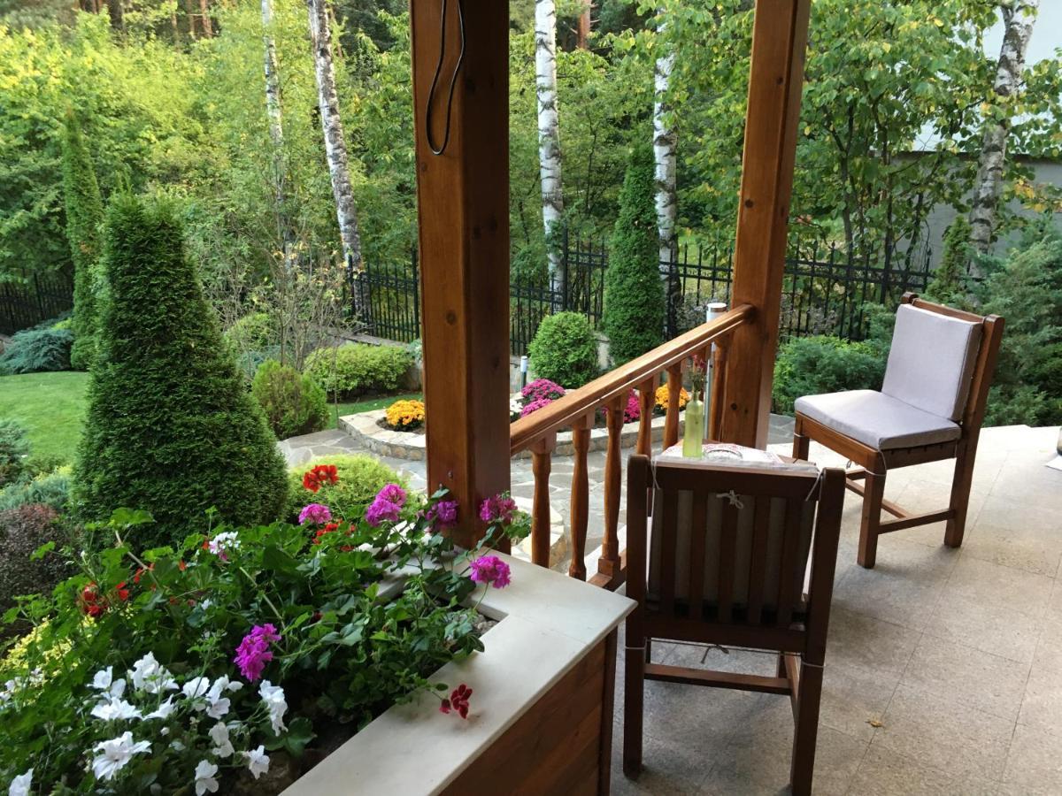 Zheleznitsa Luxury Villa Borina מראה חיצוני תמונה