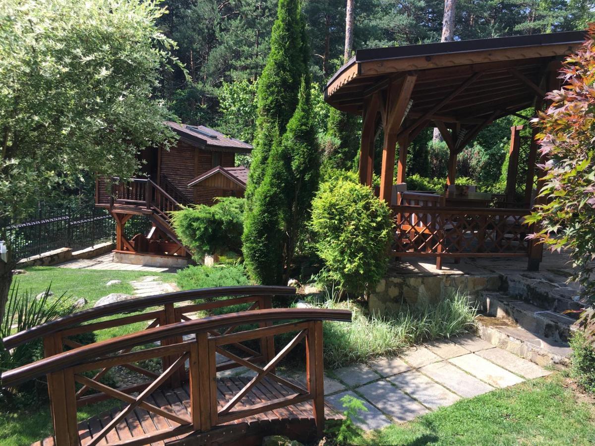 Zheleznitsa Luxury Villa Borina מראה חיצוני תמונה