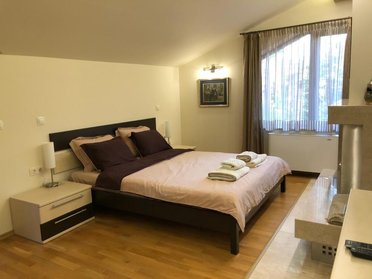 Zheleznitsa Luxury Villa Borina מראה חיצוני תמונה