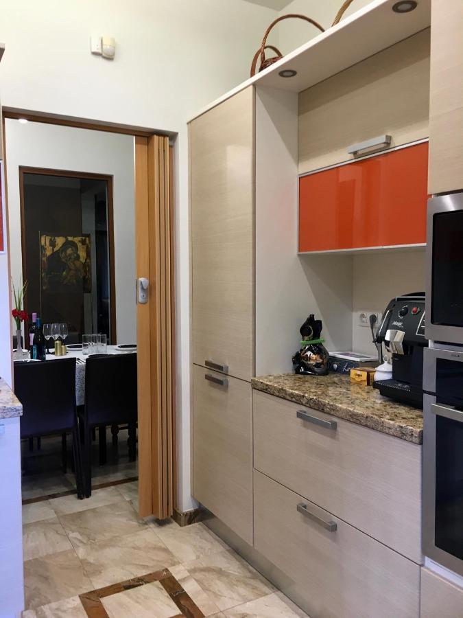 Zheleznitsa Luxury Villa Borina מראה חיצוני תמונה