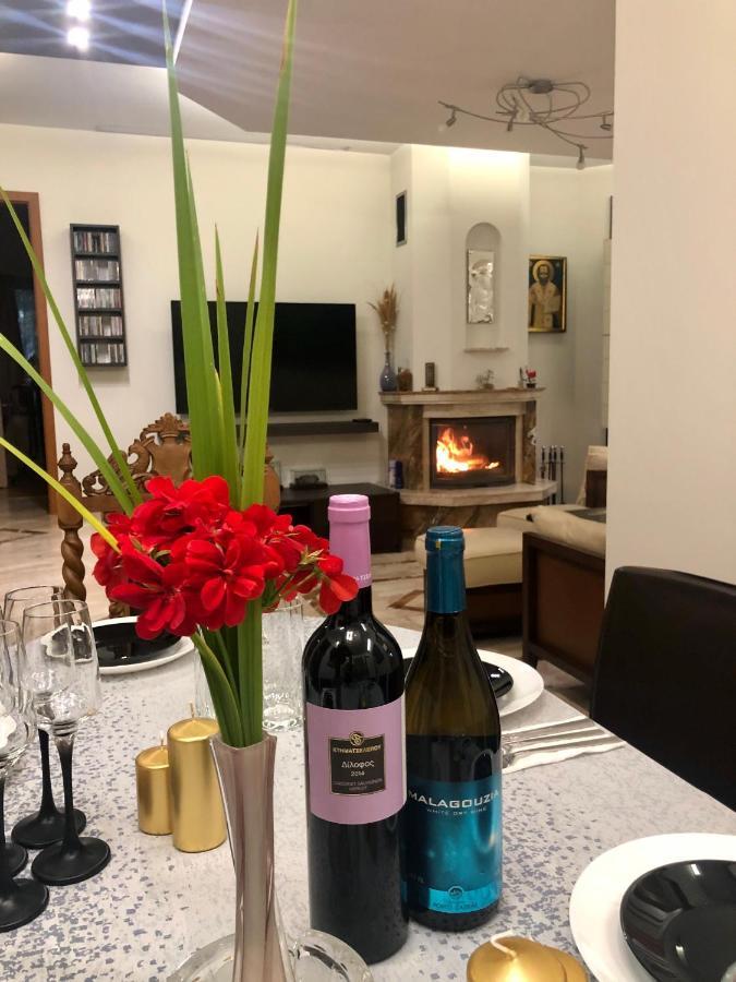 Zheleznitsa Luxury Villa Borina מראה חיצוני תמונה