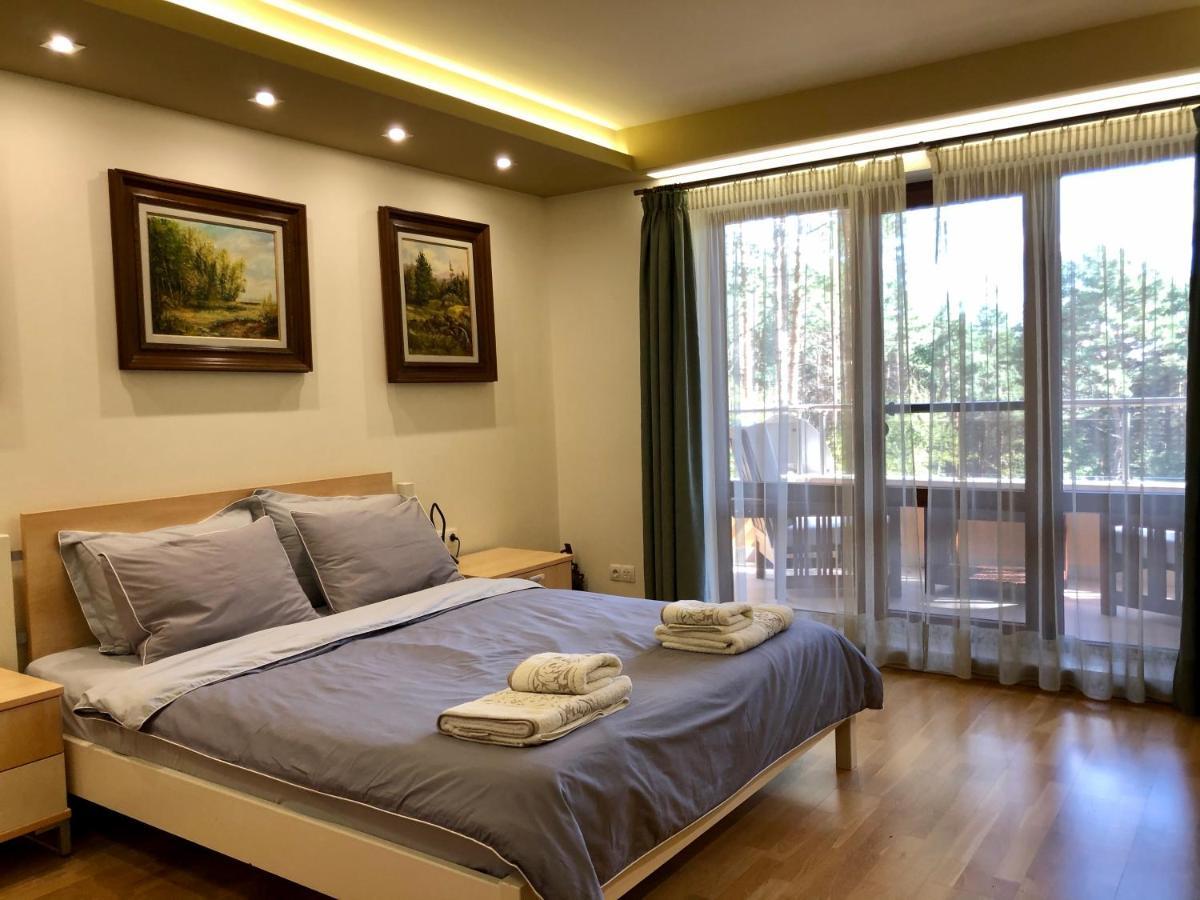 Zheleznitsa Luxury Villa Borina מראה חיצוני תמונה