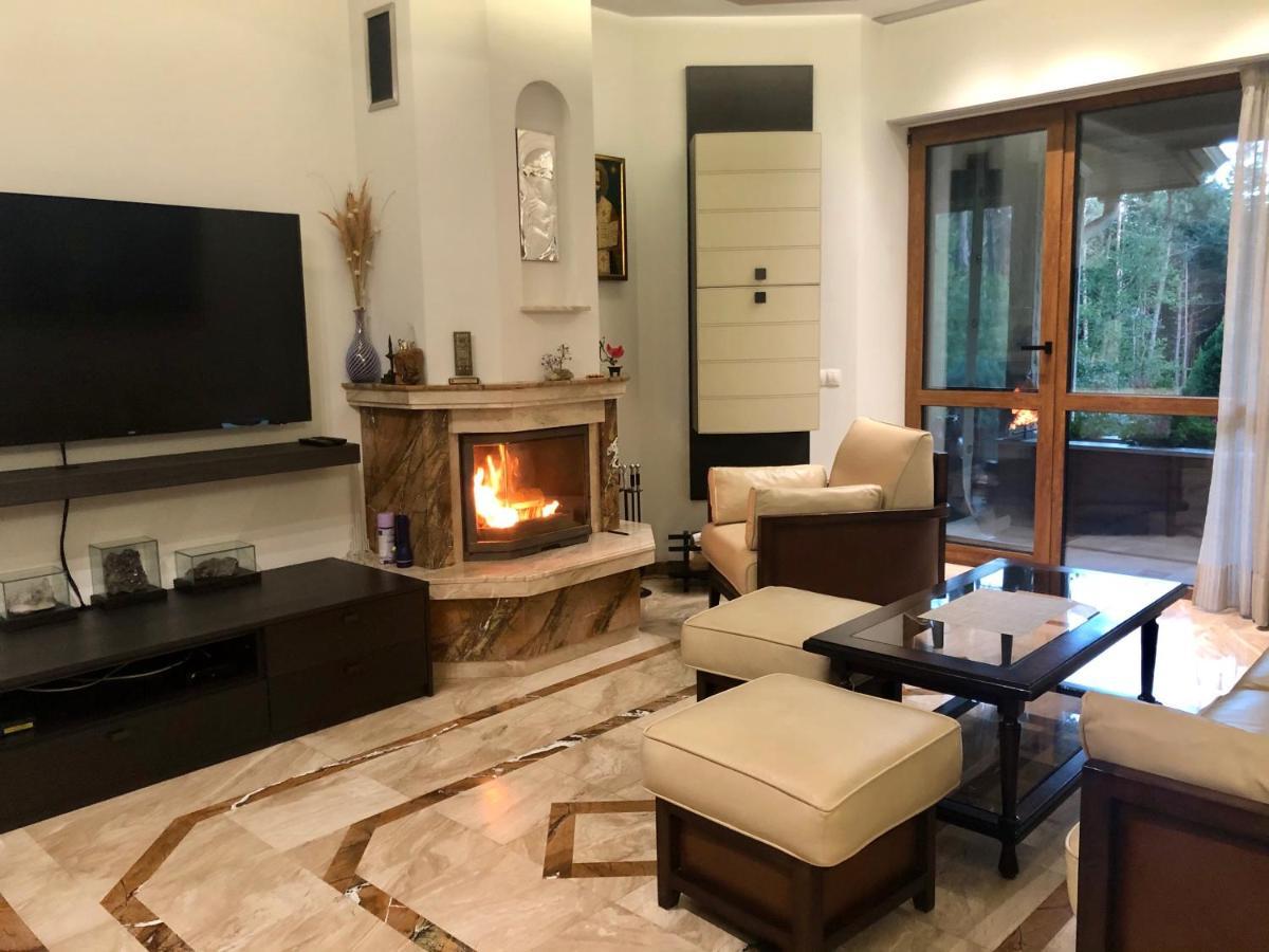 Zheleznitsa Luxury Villa Borina מראה חיצוני תמונה