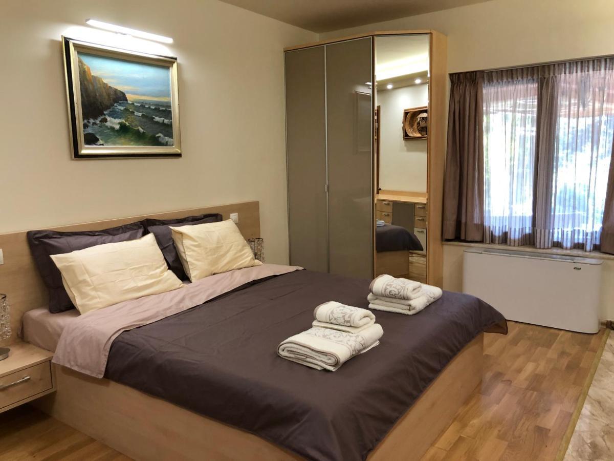 Zheleznitsa Luxury Villa Borina מראה חיצוני תמונה