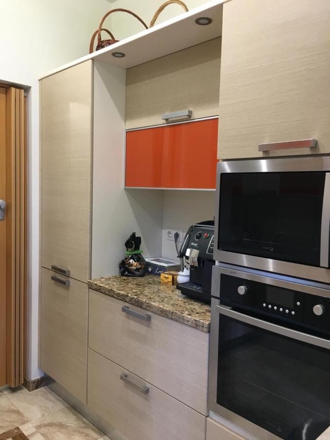 Zheleznitsa Luxury Villa Borina מראה חיצוני תמונה